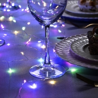 Гирлянда «Мишура» 2 м роса, IP20, серебристая нить, 50 LED, батарейки CR2032х2 (в комплекте), свечение мульти Гирлянда «Мишура» 2 м роса, IP20, серебристая нить, 50 LED, батарейки CR2032х2 (в комплекте), свечение мульти