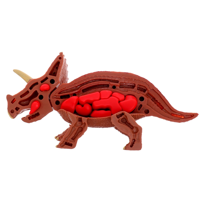 Набор для опытов «Диномир: Трицератопс», строение тела динозавра, 33 детали Набор для опытов «Диномир: Трицератопс», строение тела динозавра, 33 детали