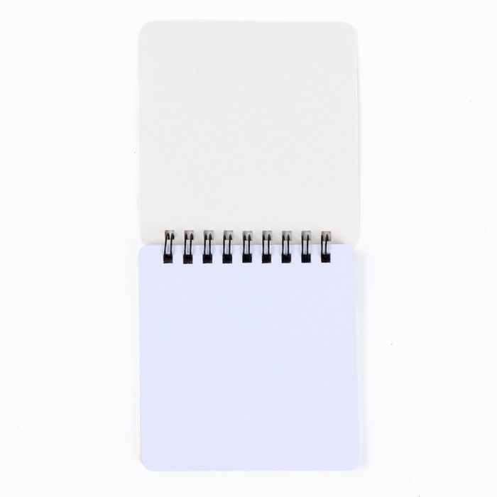 Подарочный набор Подарочный набор "Открой мир знаний" блокнот 48 листов + ручка