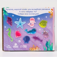 Набор для раскопок &laquo;Ракушки&raquo;, 3 шт. ракушек, 2 инструмента