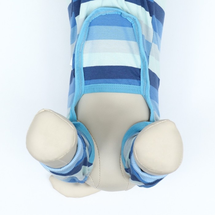 Попона послеоперационная, вискоза, размер M (ОШ 25, ОГ 38, ОТ 31 см, вес 5-8 кг), голубая