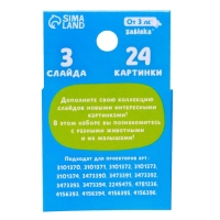 Слайды для проектора «Мама и малыш», набор, 3 слайда, 24 картинки Слайды для проектора «Мама и малыш», набор, 3 слайда, 24 картинки