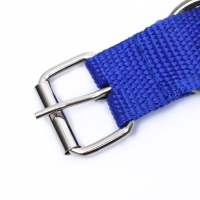 Ошейник двухслойный с вертлюгом, 55 х 2,5 см, полиэстер, синий Ошейник двухслойный с вертлюгом, 55 х 2,5 см, полиэстер, синий