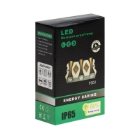 Светильник фасадный &laquo;Глосс&raquo;, FSD-045, 6 Вт, 3000К, 3 луча, IP65, 220 В, пластик, черный