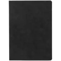 Ежедневник &laquo;Финансовая грамотность&raquo;, недатированный, черный