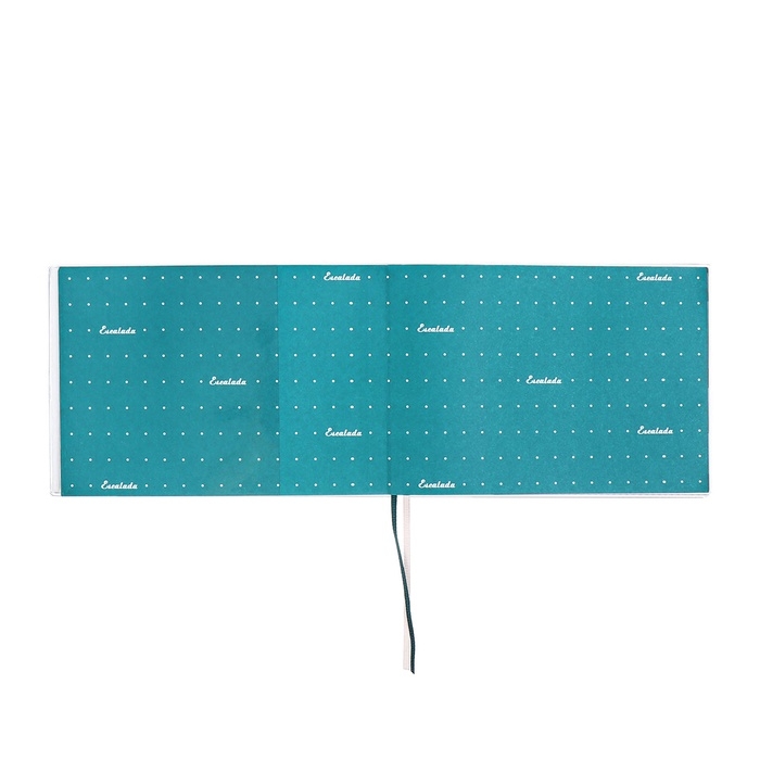 Еженедельник датир 2025г 180х127мм мягк обл ПВХ 64л ESCALADA ЗМЕЯ ЗЕЛЁНАЯ, кр бл 70 г/м&sup2;