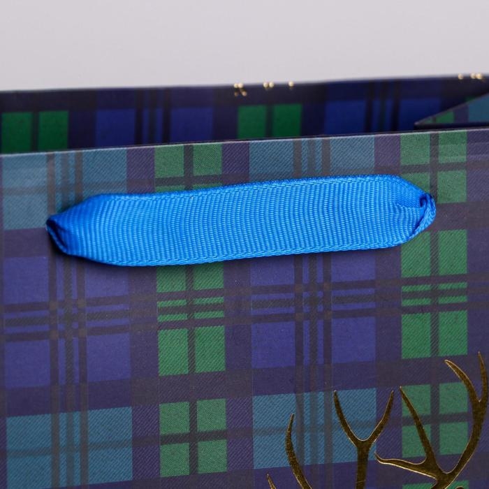 Пакет подарочный новогодний ламинированный «Стильный», MS 18 х 23 х 10 см, Новый год Пакет подарочный новогодний ламинированный «Стильный», MS 18 х 23 х 10 см, Новый год