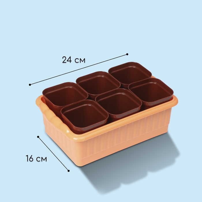 Набор для рассады: стаканы по 250 мл (6 шт.), контейнер 24 &times; 16 см, МИКС