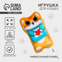 Игрушка для кошек с мятой &laquo;&lrm;Кошак&raquo;&lrm;, 12 х 7,5 см