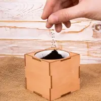 Набор для выращивания &laquo;Экокуб Lite&raquo;, сирень