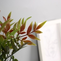 Бонсай в горшке "Хамедорея эстра" 22х8,5 см, микс Бонсай в горшке "Хамедорея эстра" 22х8,5 см, микс