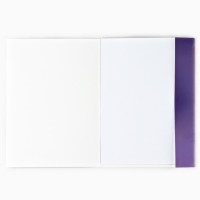 Картон белый А4 немелованный односторонний 10 листов &laquo;1 сентября: Енотик&raquo; 200 гр