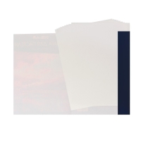 Бумага для пастели А3, 20 листов "Тигр", блок 160 г/м2, в папке Бумага для пастели А3, 20 листов "Тигр", блок 160 г/м2, в папке