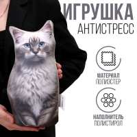 Антистресс игрушка, кот «Невская» Антистресс игрушка, кот «Невская»