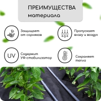 Материал мульчирующий, с перфорацией, 5 &times; 0,8 м, плотность 80 г/м&sup2;, спанбонд с УФ-стабилизатором, чёрный, Greengo, Эконом 30%