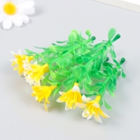 Декор для творчества "Императорский рябчик" набор 6 шт МИКС 9,5 см Декор для творчества "Императорский рябчик" набор 6 шт МИКС 9,5 см