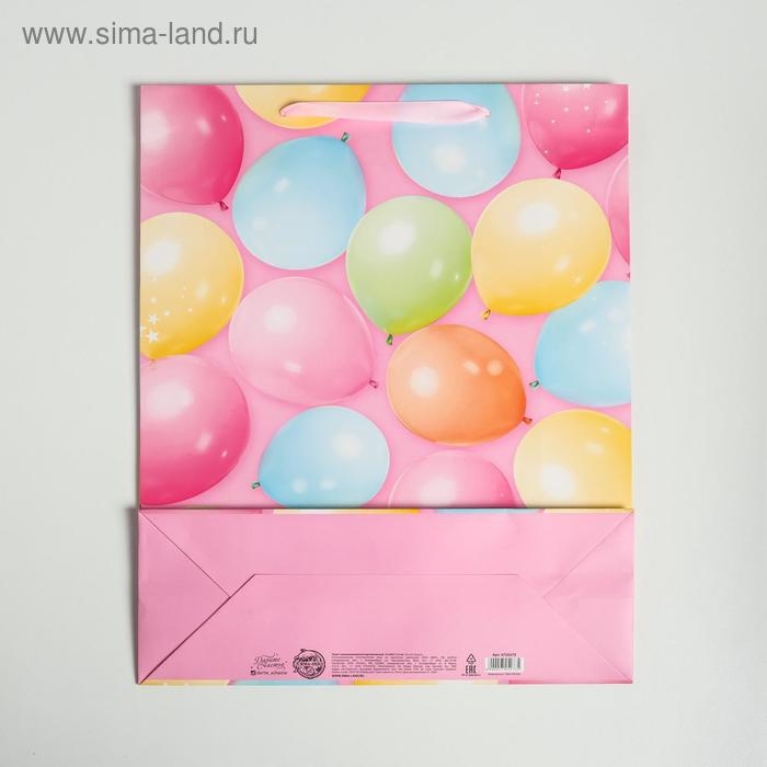 Пакет подарочный ламинированный вертикальный, упаковка, «С Днём Рождения!», L 31 х 40 х 11,5 см Пакет подарочный ламинированный вертикальный, упаковка, «С Днём Рождения!», L 31 х 40 х 11,5 см