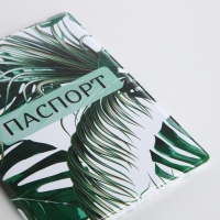 Обложка для паспорта, цвет зелёный Обложка для паспорта, цвет зелёный