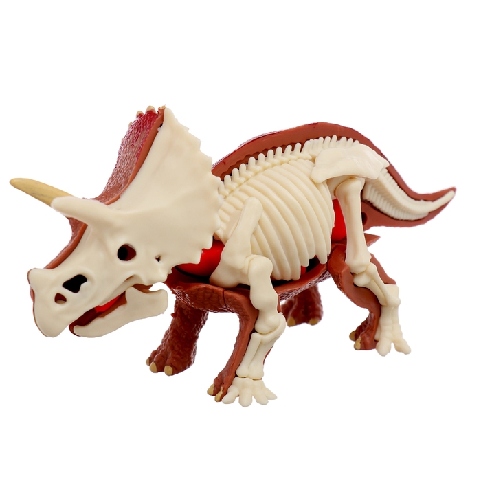 Набор для опытов «Диномир: Трицератопс», строение тела динозавра, 33 детали Набор для опытов «Диномир: Трицератопс», строение тела динозавра, 33 детали