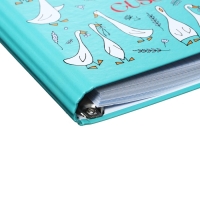 Тетрадь на кольцах А5 160 листов в клетку "Gussi", твёрдая обложка, глянцевая ламинация Тетрадь на кольцах А5 160 листов в клетку "Gussi", твёрдая обложка, глянцевая ламинация