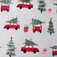 Плед LoveLife "Новогоднее настроение" 180*200 см,100% п/э, велсофт 280 гр/м2