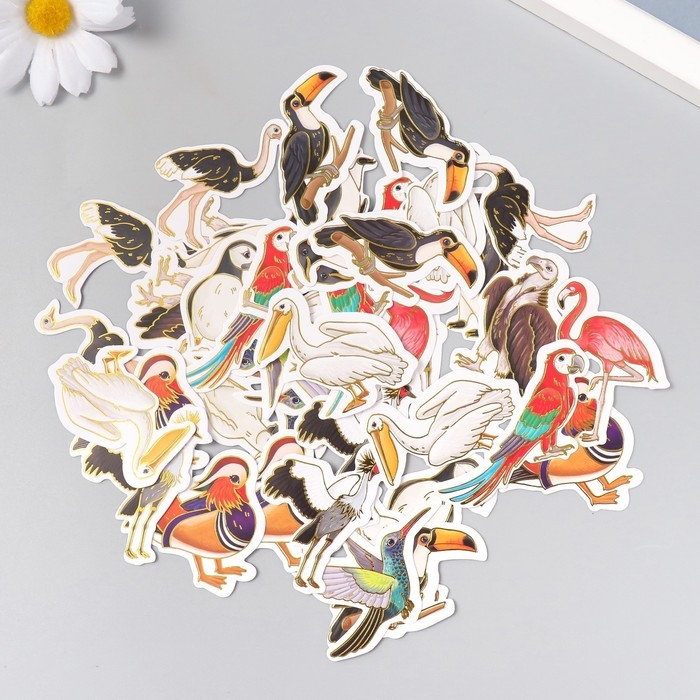 Наклейки для творчества Наклейки для творчества "Экзотические птицы" тиснение золото набор 48 шт 9х7х0,8 см
