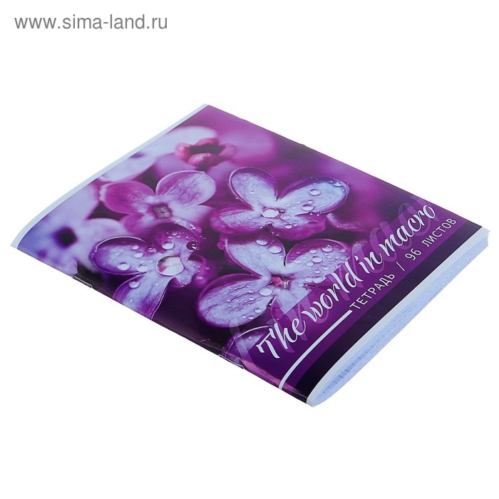 Тетрадь 96 листов в клетку Calligrata Тетрадь 96 листов в клетку Calligrata "Макро", обложка мелованный картон, блок офсет, МИКС