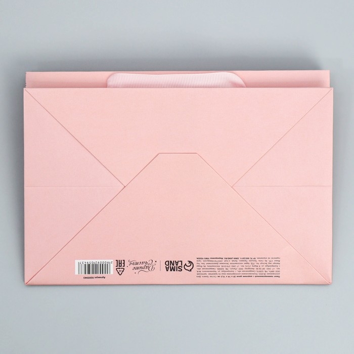 Пакет подарочный с широким дном, упаковка, &laquo;Present&raquo;, 20 х 14 х 13,2 см