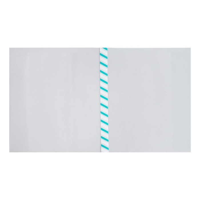 Набор обложек ПЭ 5 штук, 290 х 500 мм, 140 мкм, для атласов и контурных карт, универсальная, с закладкой, МИКС