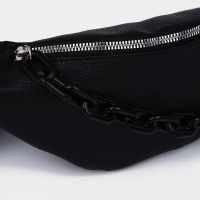 Поясная сумка на молнии, цвет чёрный Поясная сумка на молнии, цвет чёрный