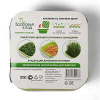 Проращиватель универсальный &laquo;Здоровья клад&raquo;