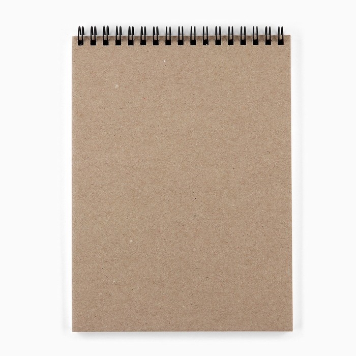 Скетчбук А5, 40 листов, 100 гр &laquo;Аниме. Девушки&raquo;