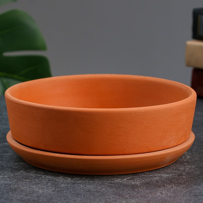 Горшок бонсайница "Огма" для кактусов и суккулентов, терракот, 0,7 л