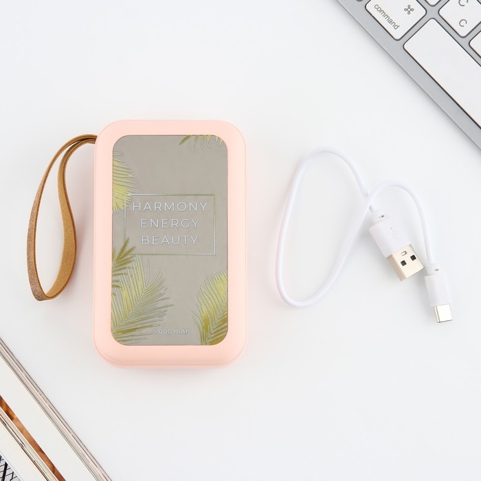 Зарядное устройство &laquo;Harmony&raquo;, 5000мА, мод. PB-02, 10,4 х 6,4 см