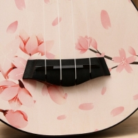 Укулеле сопрано Music Life, лепестки Укулеле сопрано Music Life, лепестки