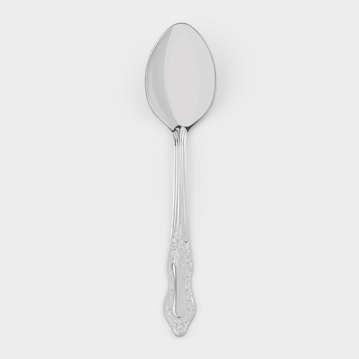 Ложка столовая «Славянка», h=19,5 см, толщина 1,2 мм, цвет серебряный Ложка столовая «Славянка», h=19,5 см, толщина 1,2 мм, цвет серебряный