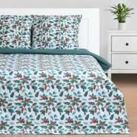 Постельное бельё &laquo;Этель&raquo; 1.5 сп Winter berries 143х215 см,150х214 см, 70х70 см 2 шт, поплин