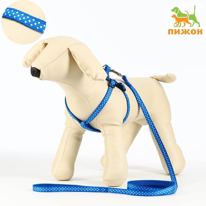 Комплект прошитый Комплект прошитый "Горошек", ширина 1 см, поводок 120 см, шлейка 23-35 см, синий