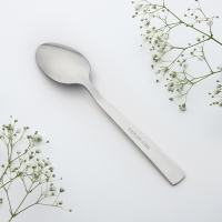 Ложка чайная с гравировкой &laquo;Наталья&raquo;, в подарочной коробке, 3 х 15 см.