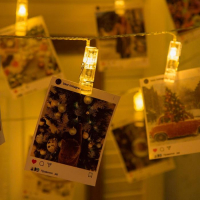 Гирлянда &laquo;Нить&raquo; 5 м с насадками &laquo;Прищепки&raquo;, IP20, прозрачная нить, 30 LED, свечение тёплое белое, 8 режимов, 220 В