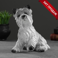 Копилка "Ризен" 21х13х23см Копилка "Ризен" 21х13х23см