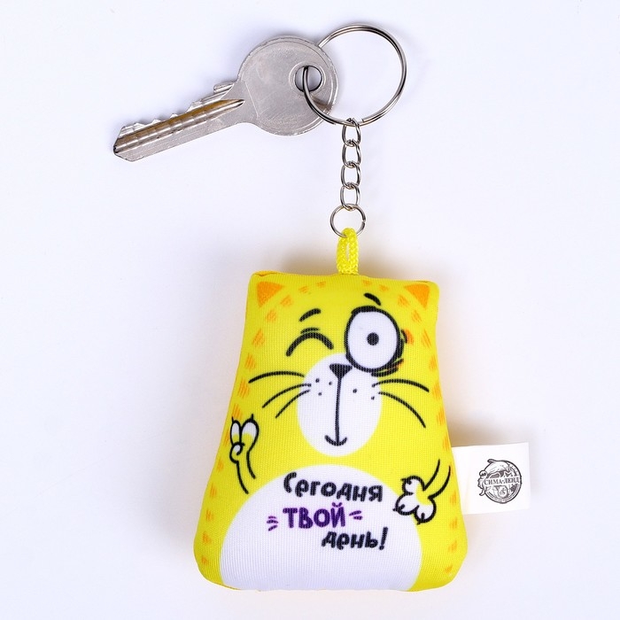 Брелок-антистресс «Сегодня твой день!», кот, 6х7 см Брелок-антистресс «Сегодня твой день!», кот, 6х7 см