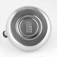 Чайник со свистком из нержавеющей стали Доляна &laquo;Квант&raquo;, 2,8 л, фиксированная ручка, цвет хромированный