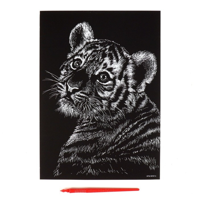 Гравюра &laquo;Тигрёнок&raquo; с металлическим эффектом &laquo;золото&raquo; А4