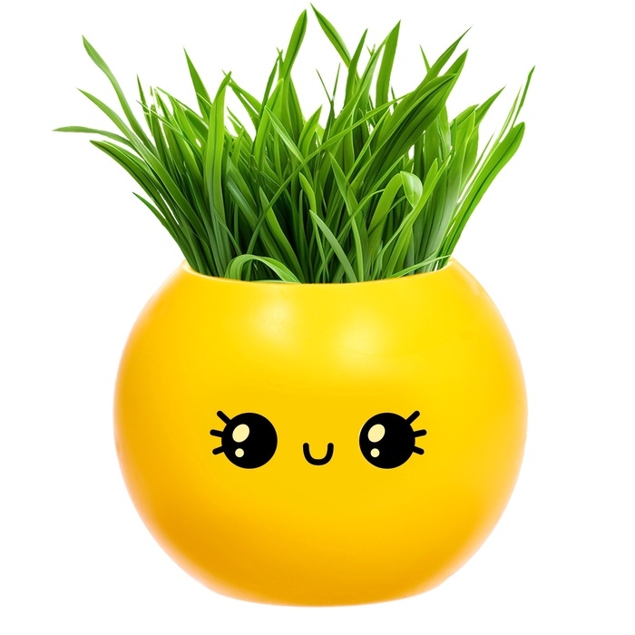 Набор для опытов, для детей &laquo;Выращиваем травку&raquo;, растение в горшочке - эмодзи &laquo;Милый&raquo;