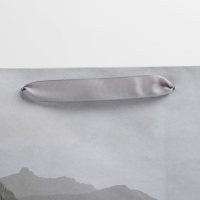 Пакет подарочный крафтовый вертикальный, упаковка, «Мечты сбываются», L 31 х 40 х 11,5 см Пакет подарочный крафтовый вертикальный, упаковка, «Мечты сбываются», L 31 х 40 х 11,5 см