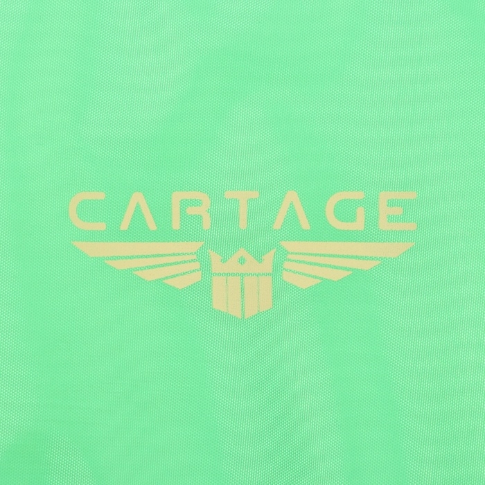 Термосумка Cartage Т-21, салатовый, 18 л, 35х21х24 см