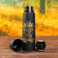 Набор посуды для пикника &laquo;Лучшему в мире отцу&raquo;, термос 500 мл, кружка 180 мл, 2 шт