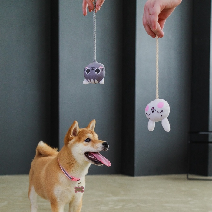 Игрушка для собак &laquo;Котик&raquo;, с канатом