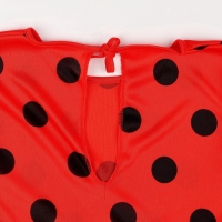 Карнавальный набор &laquo;Божья коровка&raquo;: комбинезон, маска, коса, сумка, рост 110-122 см